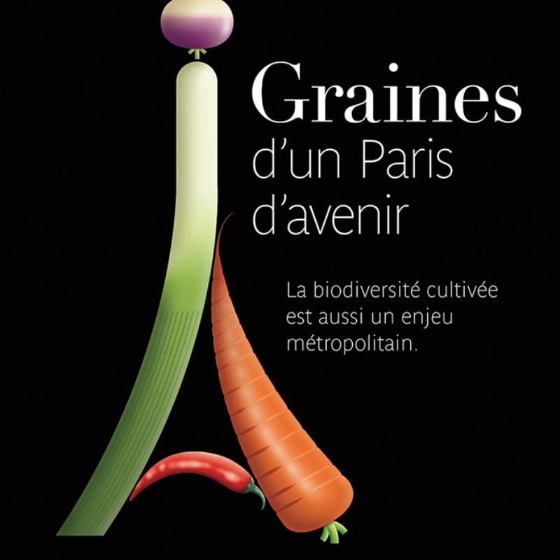 Graines de Paris